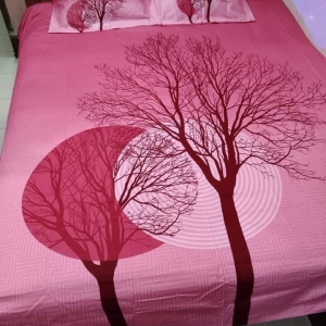 Bed Sheet With 2 Cover