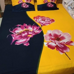 Bed Sheet With 2 Cover