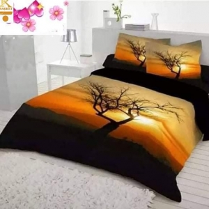 Bed Sheet With 2 Cover