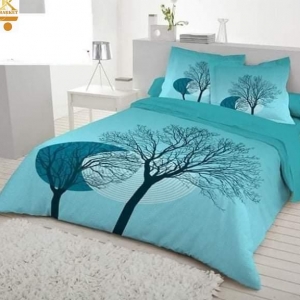 Bed Sheet With 2 Cover