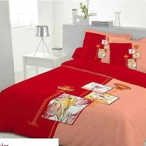 Bed Sheet With 2 Cover